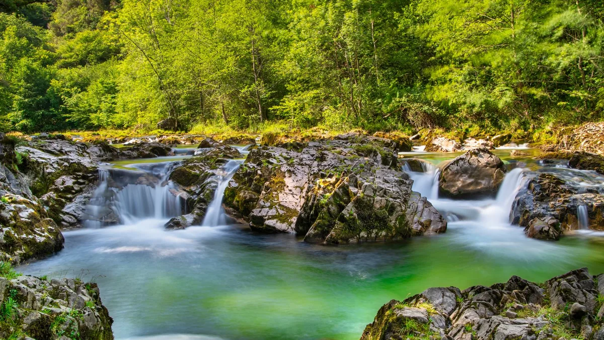 A tranquil waterfall cascades over mossy rocks in a lush green forest setting, glowing under sunlight.